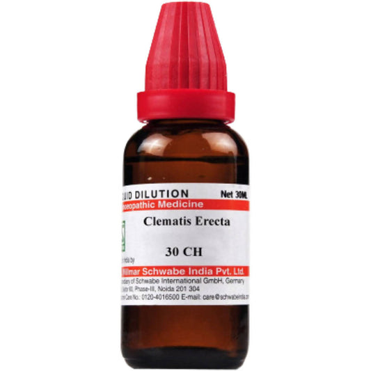 Dr. Willmar Schwabe India Clematis Erecta Dilution - Grab2buy