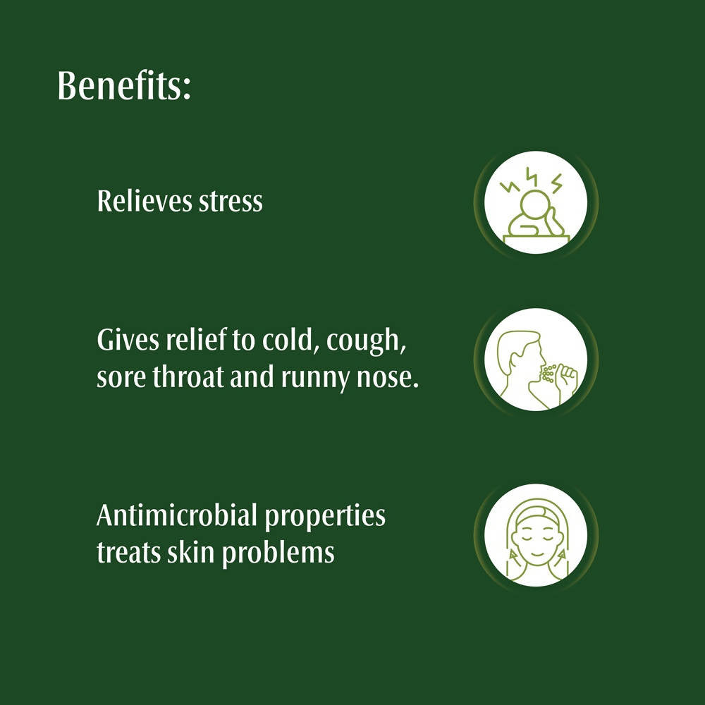 Dwibhashi Eucalyptus Oil (Tailaparna Tailam) 