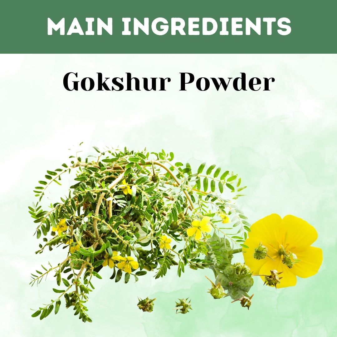 Herbal Hills Ayurveda Gokshur Powder 
