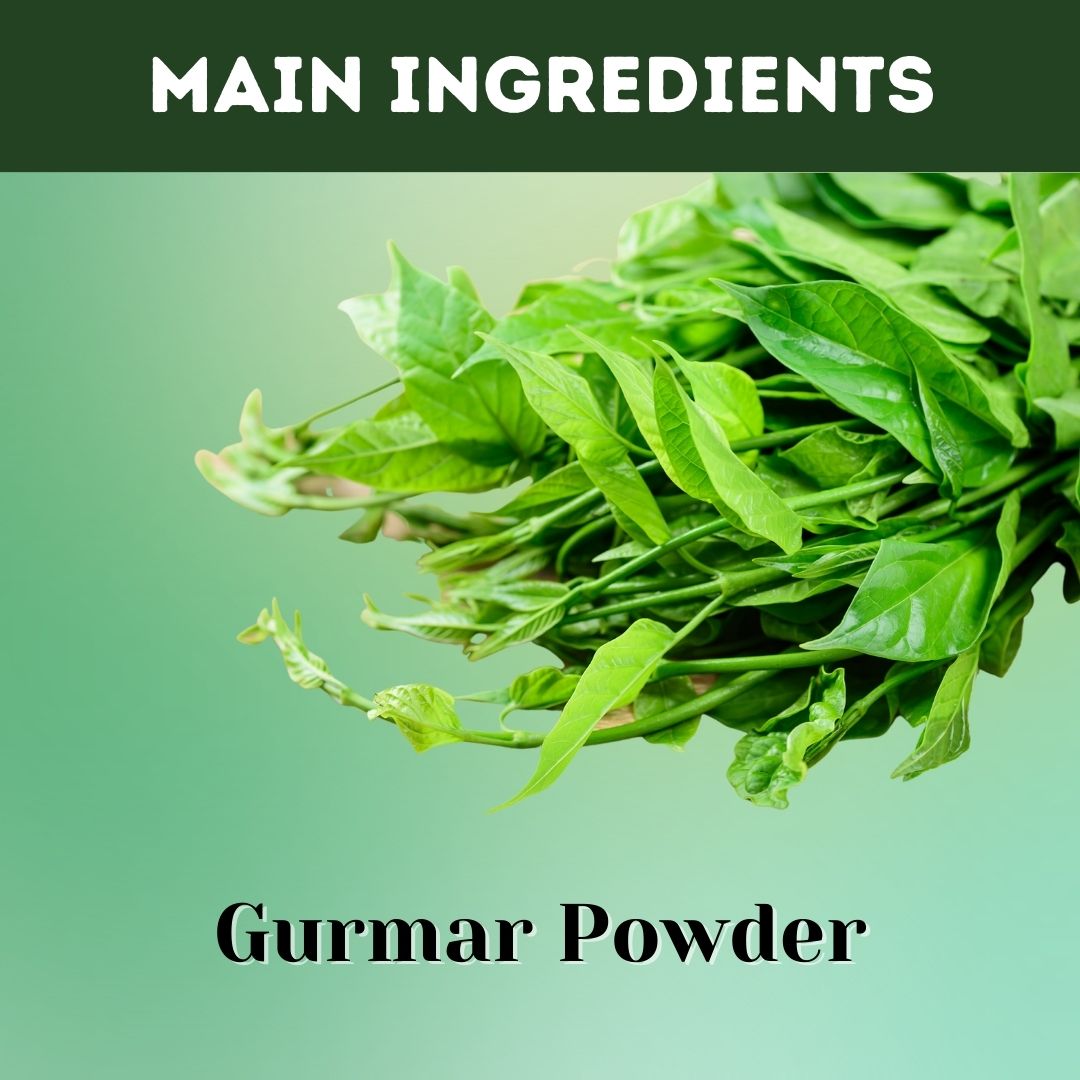 Herbal Hills Gurmar Powder 