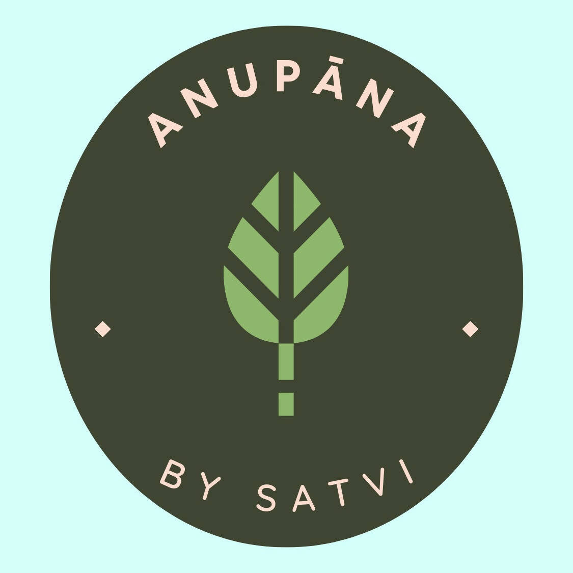 Satvi Wellness Thriphala Drink - Triphala with Cinnamon and Dry Ginger 