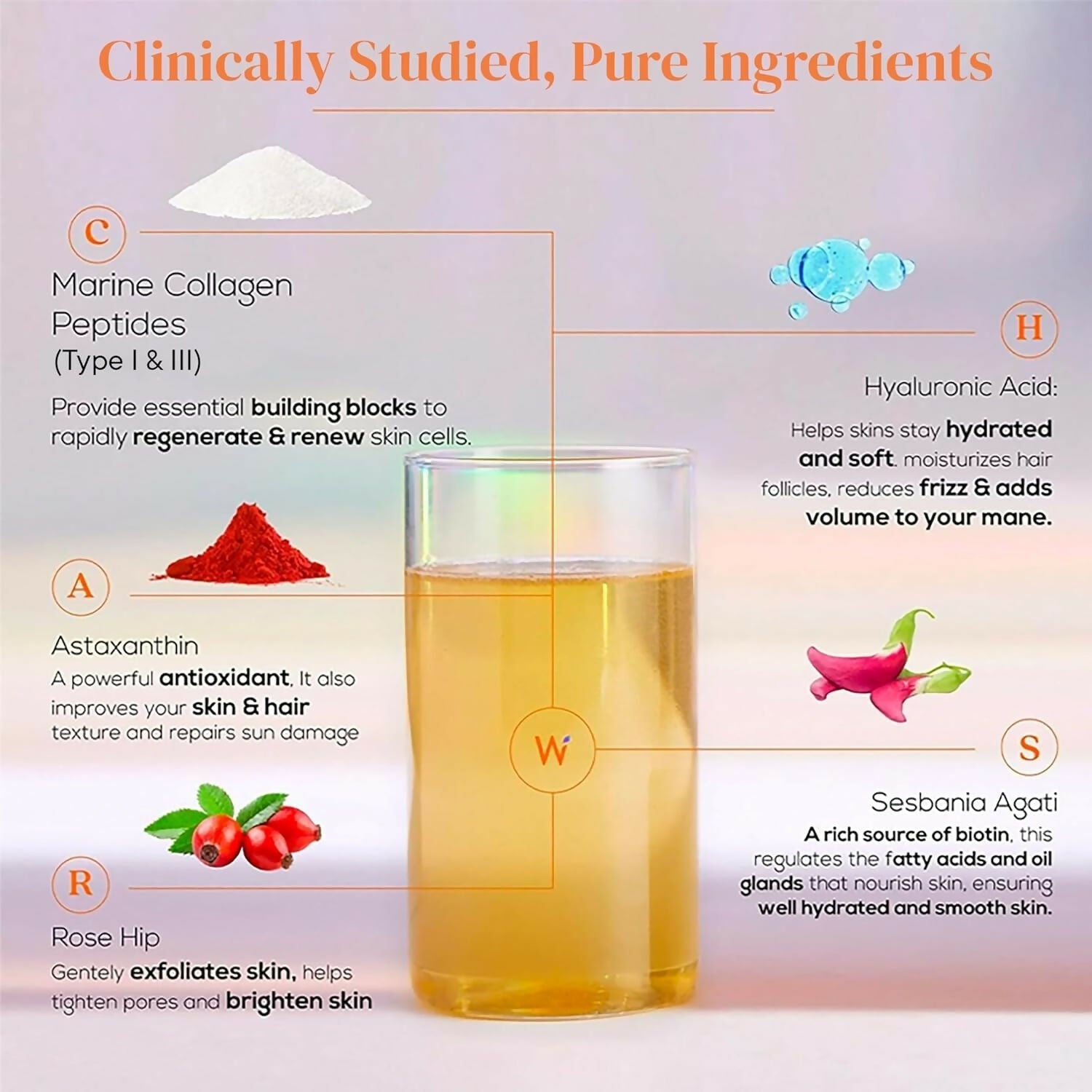 Wellbeing Nutrition Collagen & Glutathione Skin, Hair & Nails Combo  Grab2Buy Wellbeing Nutrition Grab2Buy