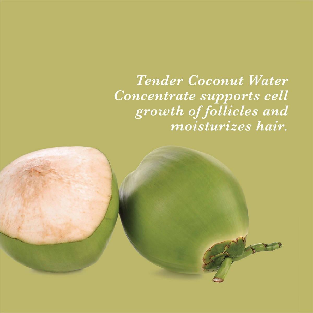 True Frog Everyday Hair Conditioner  Grab2Buy True Frog Grab2Buy