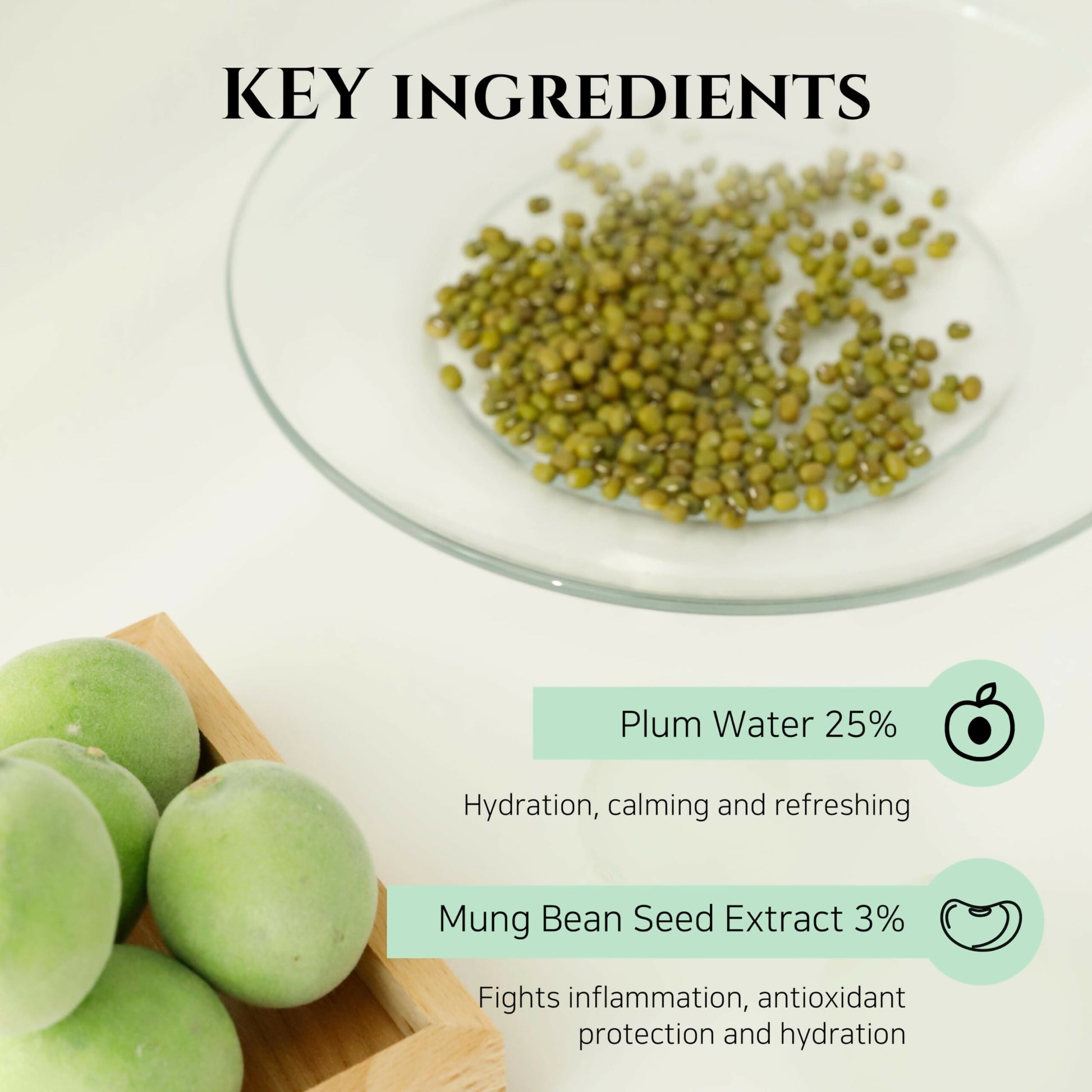 Beauty of Joseon Green Plum Refreshing Cleanser - Korean Skincare  Grab2Buy Beauty of Joseon Grab2Buy