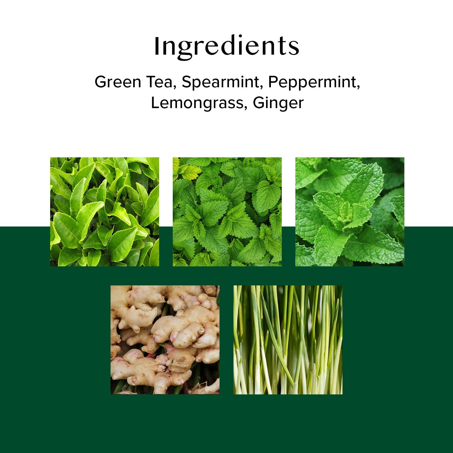Ginger Mint Green Tea, 3.53 oz 