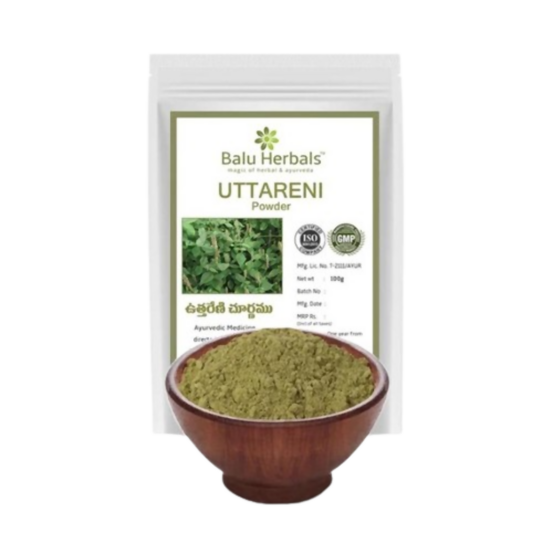 Balu Herbals Apang Seeds (Uttareni Ginjalu) Powder 