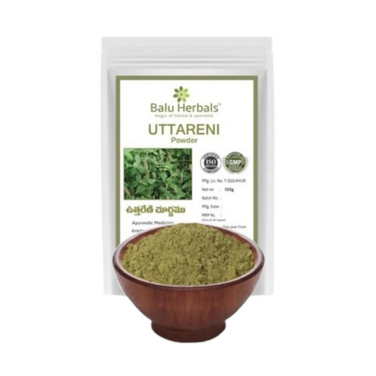 Balu Herbals Apang Seeds (Uttareni Ginjalu) Powder 