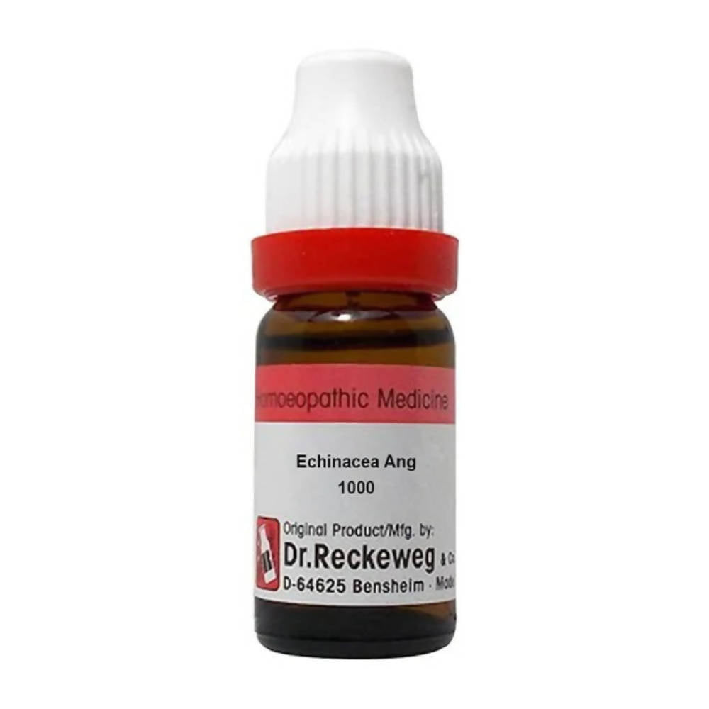 Dr. Reckeweg Echinacea Ang Dilution - Grab2buy
