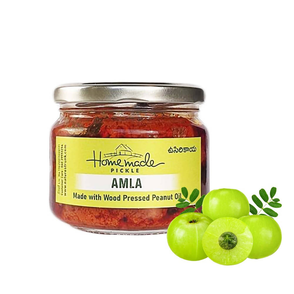 Nature's Trunk Homemade Amla Pickle - Grab2buy