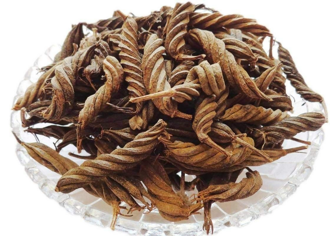 Yuvika Marod Phali - Marori - Helicteres Isora - Avaitini Screw Beans 