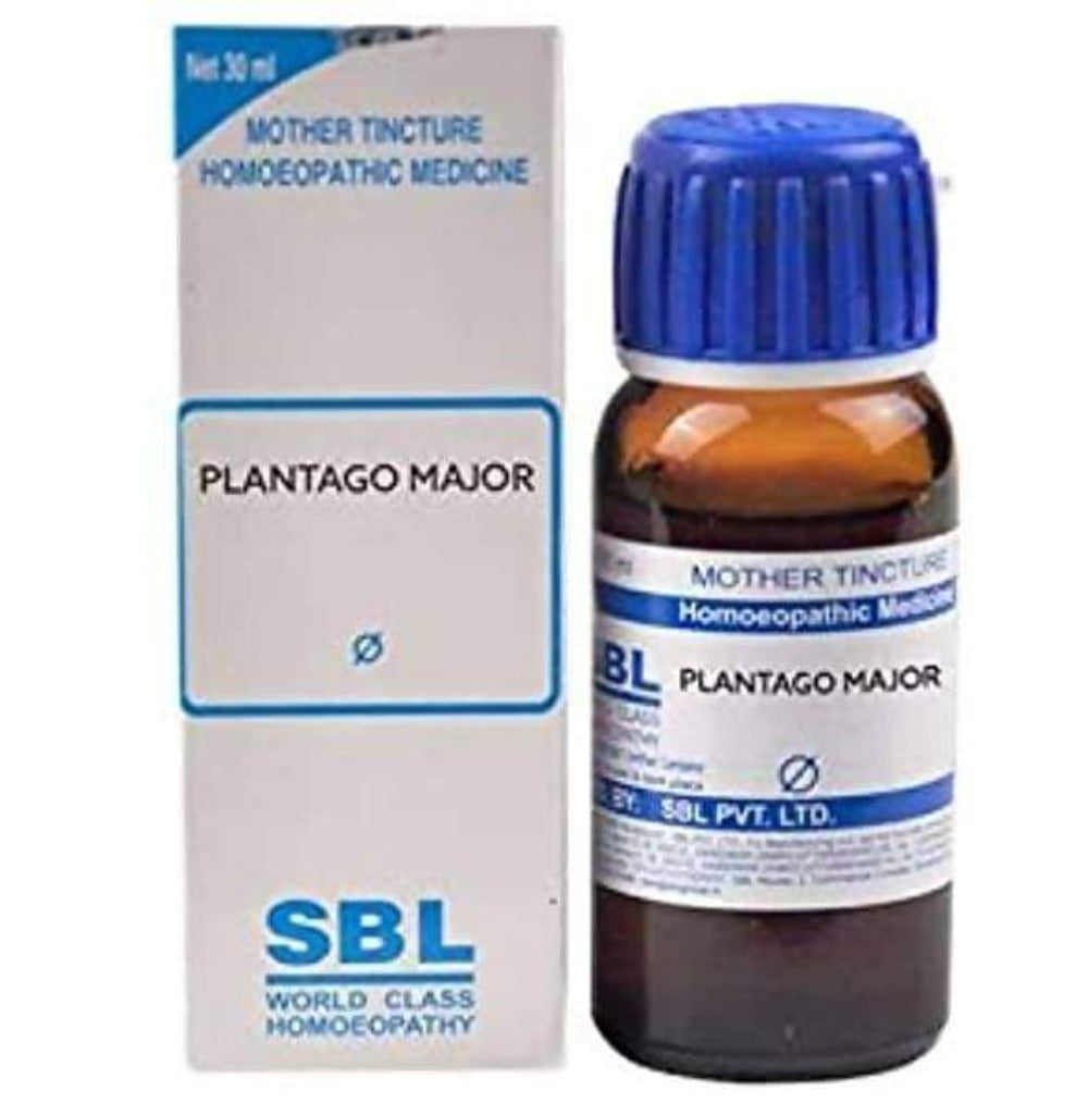 SBL Homeopathy Plantago Major Mother Tincture Q 