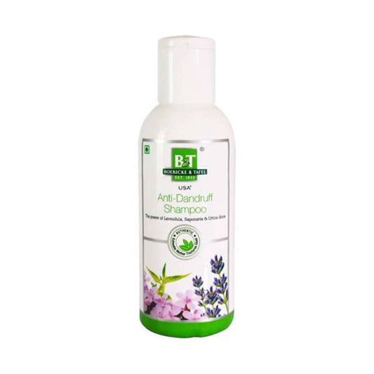 Boericke & Tafel Anti- Dandruff Shampoo - Grab2buy