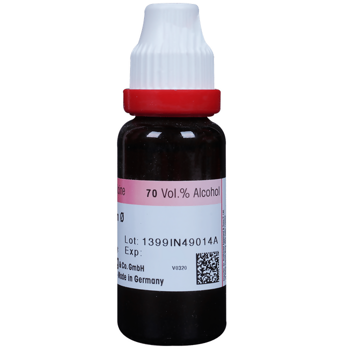 Dr. Reckeweg Allium Sativum Mother Tincture Q 