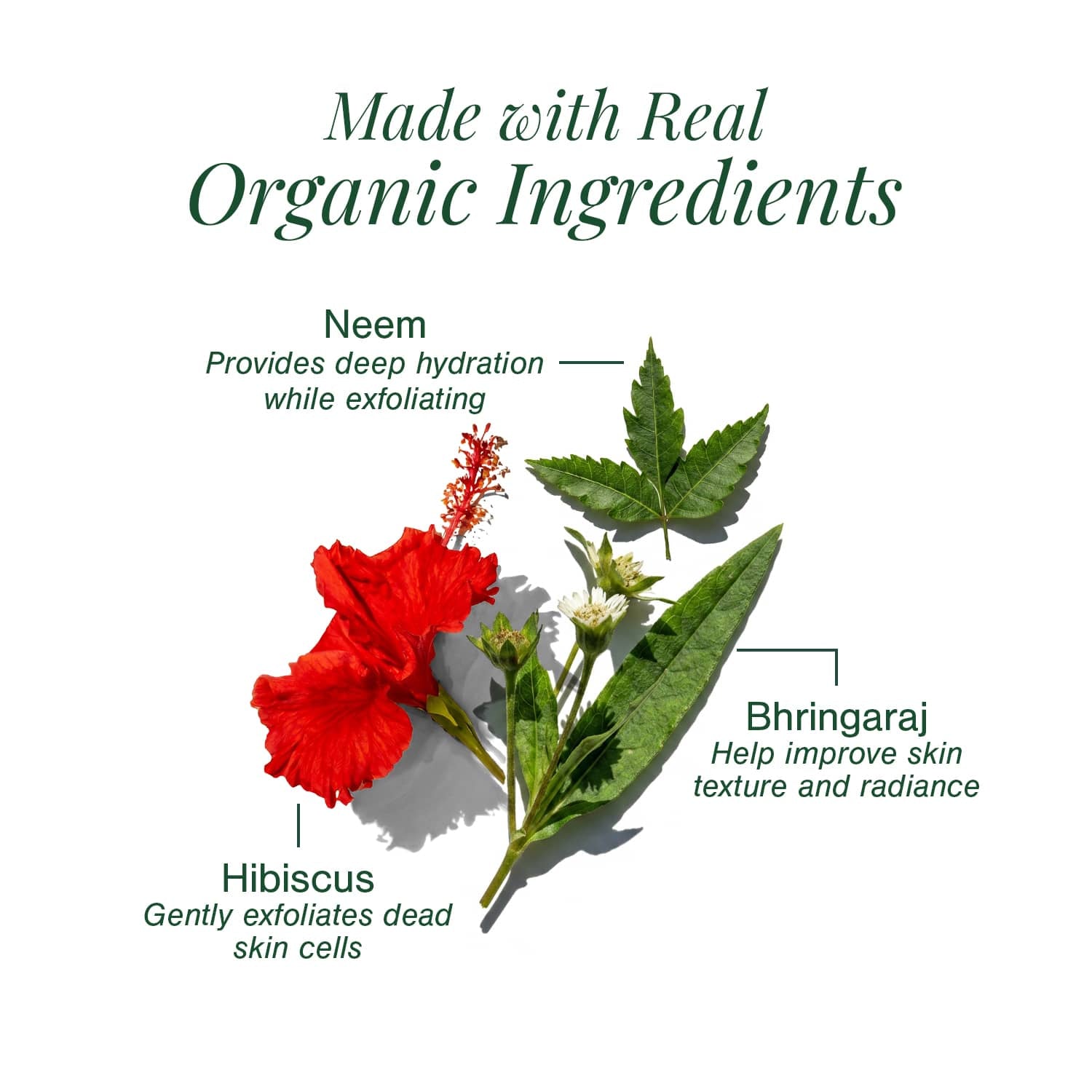 Hair Oil for Premature Greying Fortified with Hibiscus + Bhringaraj 
