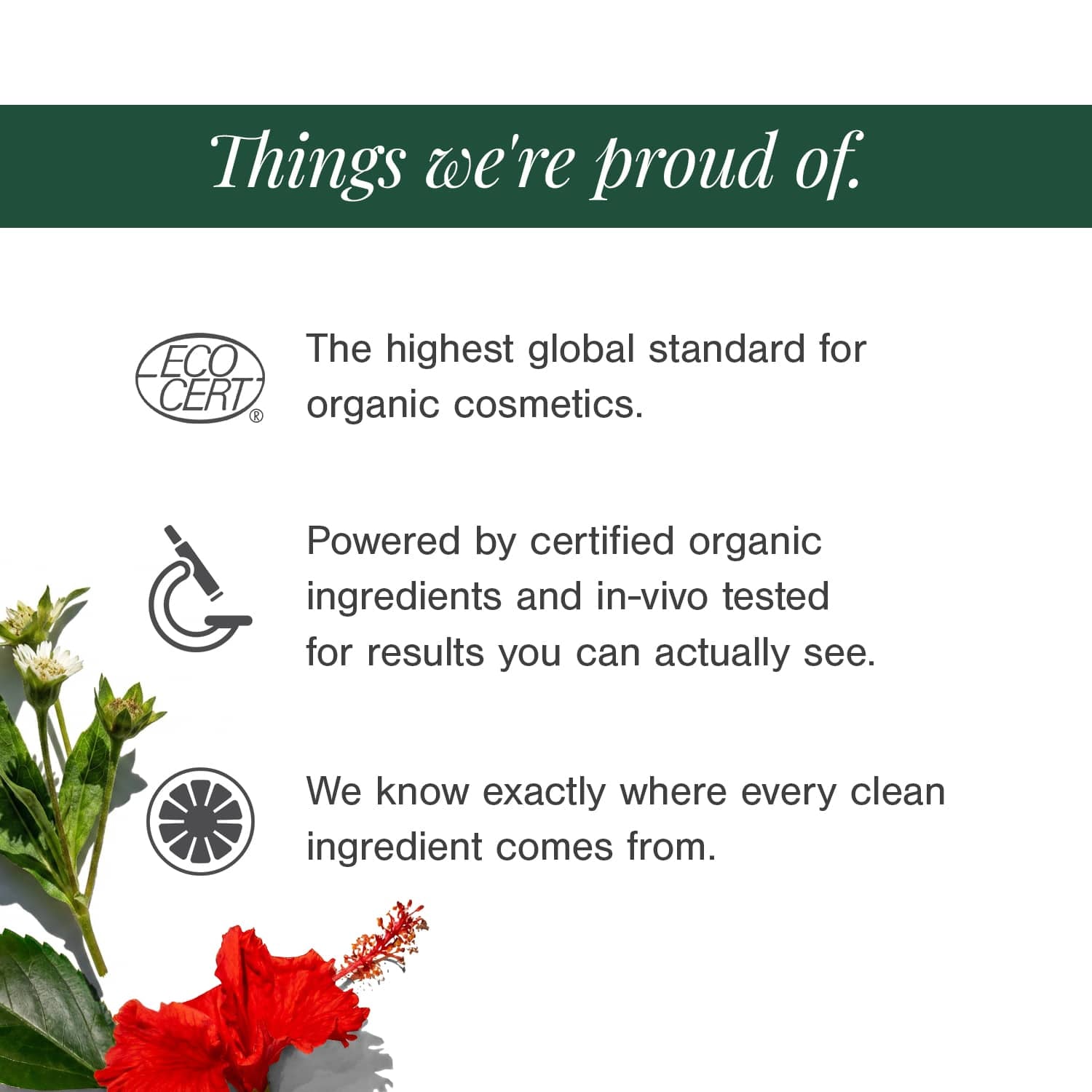 Hair Oil for Premature Greying Fortified with Hibiscus + Bhringaraj 