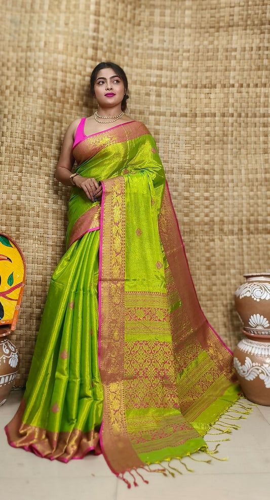 Exclusive Collection Light Green Beautiful Tissue Benarasi Grab2Buy