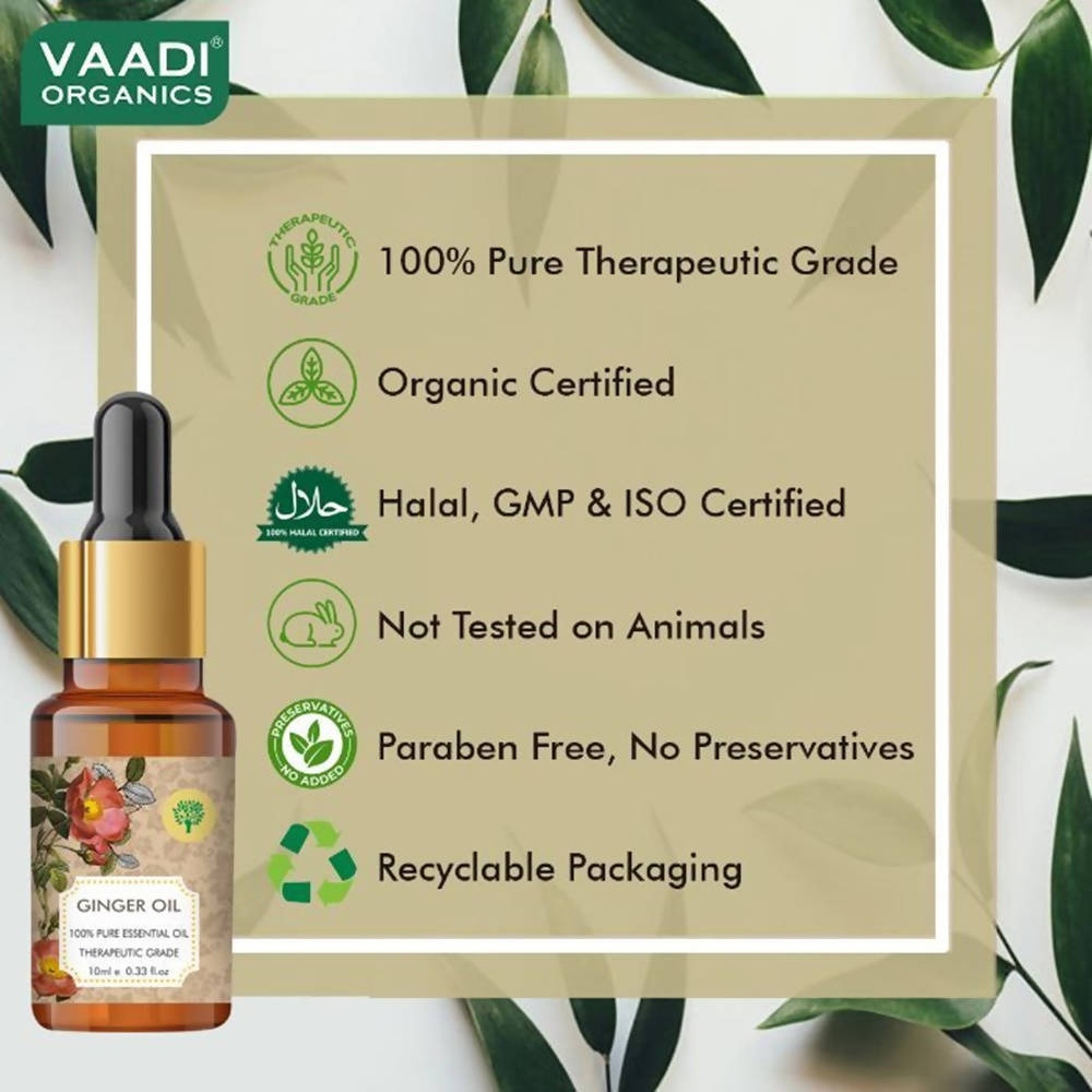 Vaadi Herbals Ginger 100% Pure Essential Oil Therapeutic Grade  Grab2Buy Vaadi Herbals Grab2Buy