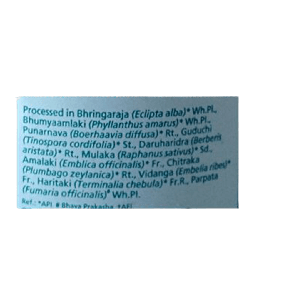 Himalaya Liv.52 Tablets - 100 Counts - Grab2buy