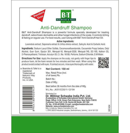 Boericke & Tafel Anti- Dandruff Shampoo - Grab2buy