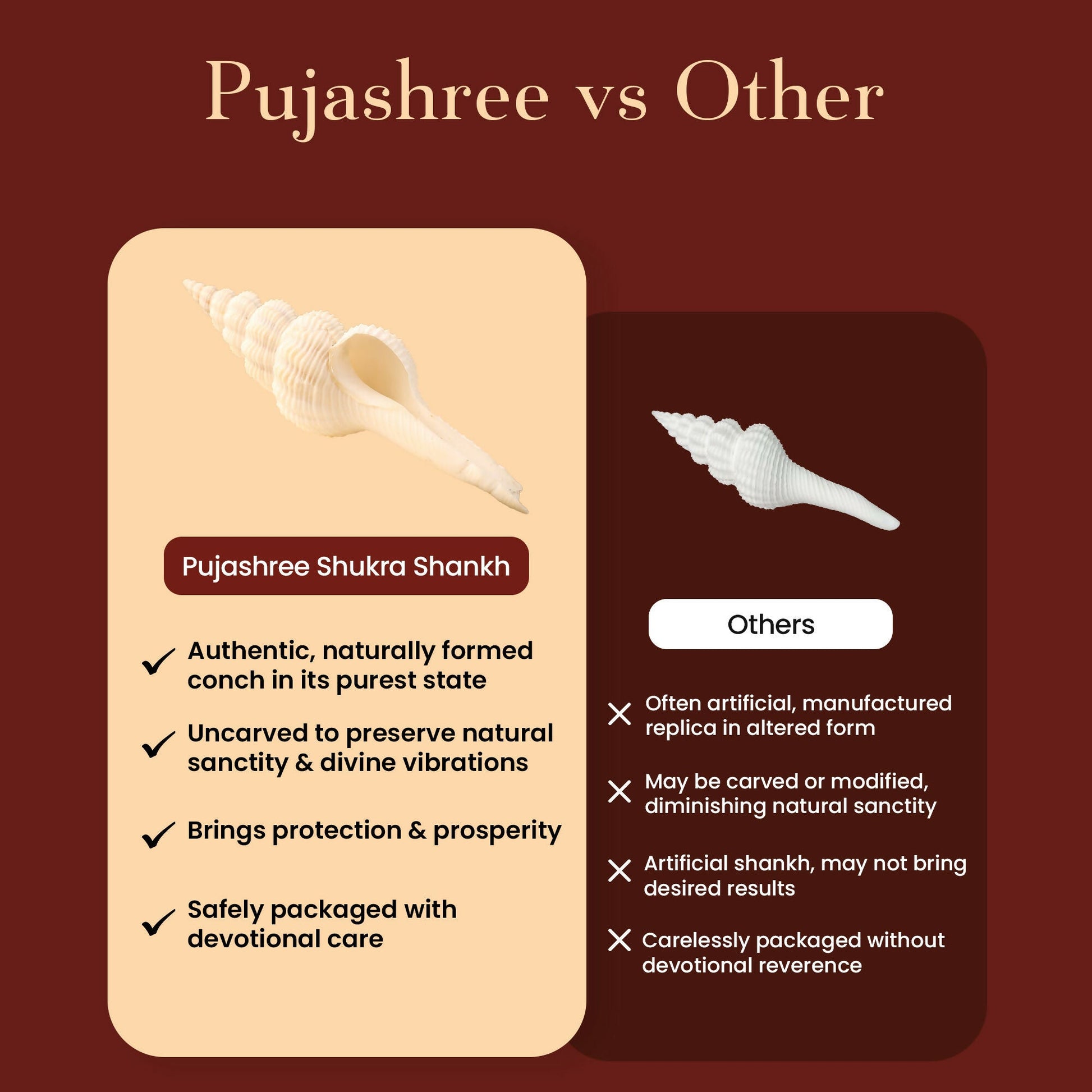 Pujashree Shukra Shankh – Venus Graha Conch For Prosperity & Harmony
