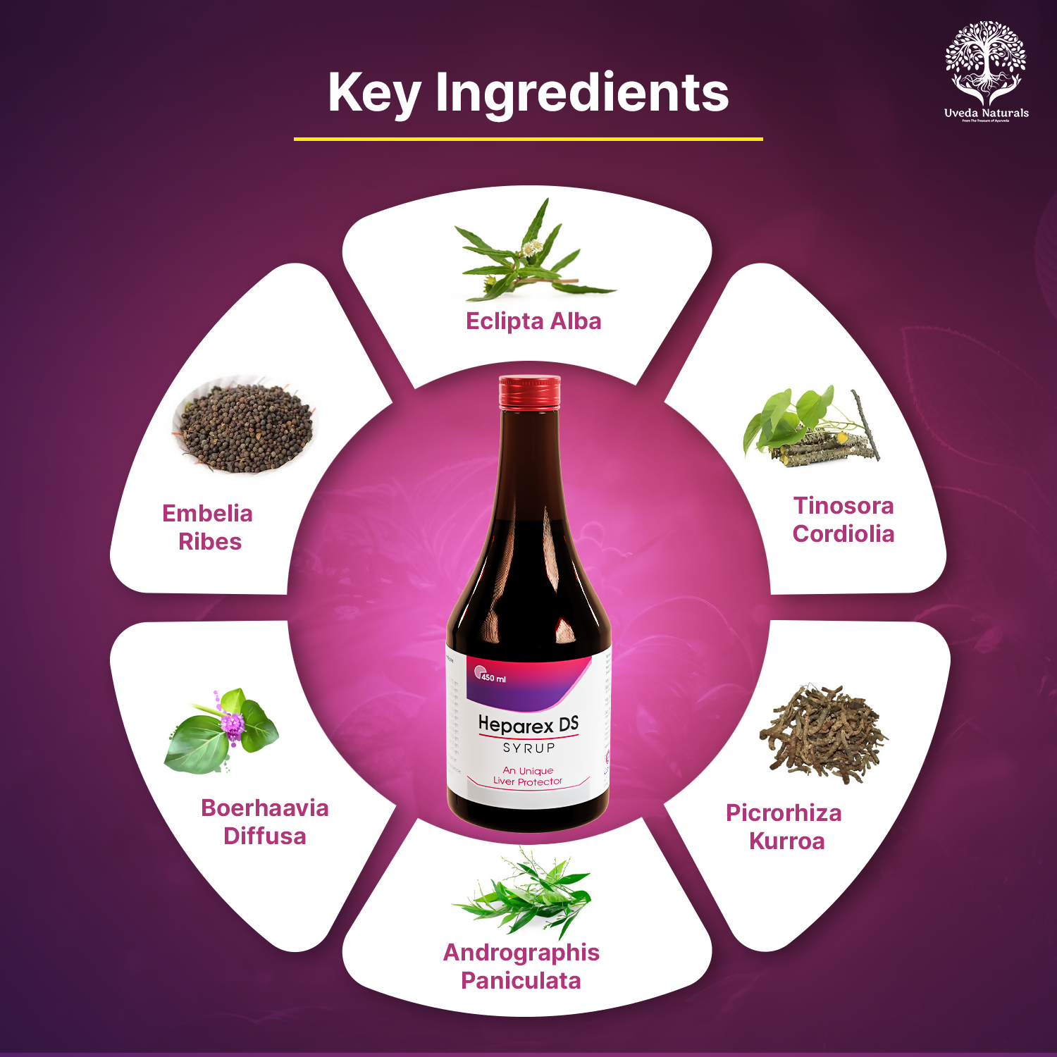 Uveda Naturals Heparex DS Syrup 