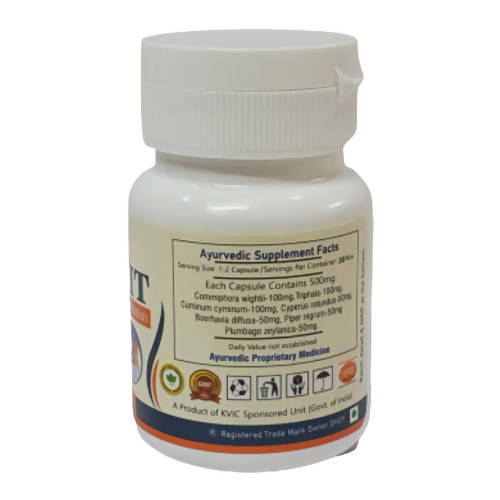 Deep Ayurveda Obesit 500mg Veg Capsules - Grab2buy