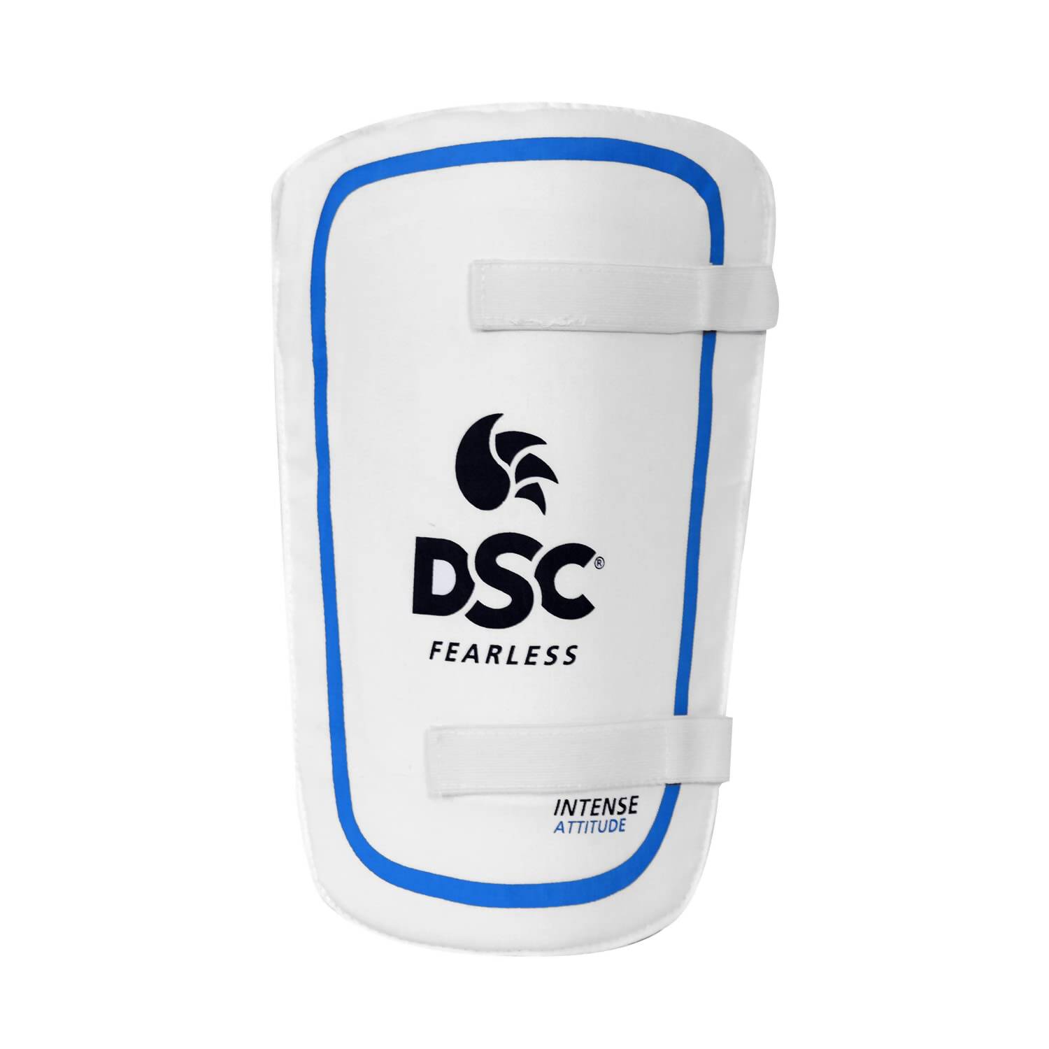 DSC Economy Kashmir Willow Cricket Kit (Size 5) 