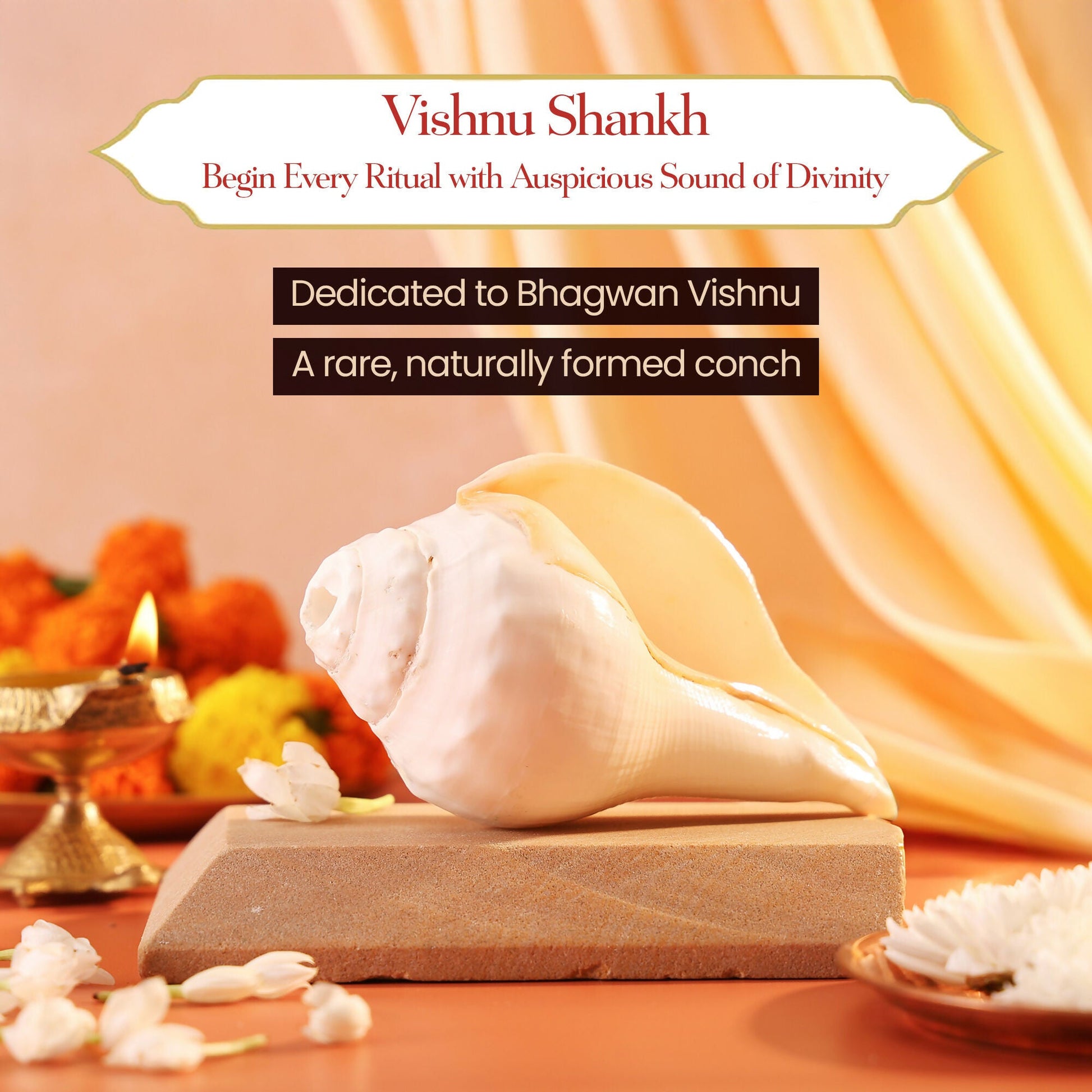 Pujashree Vishnu Blowing Shankh – Holy Conch for Temple Use & Puja (Big)