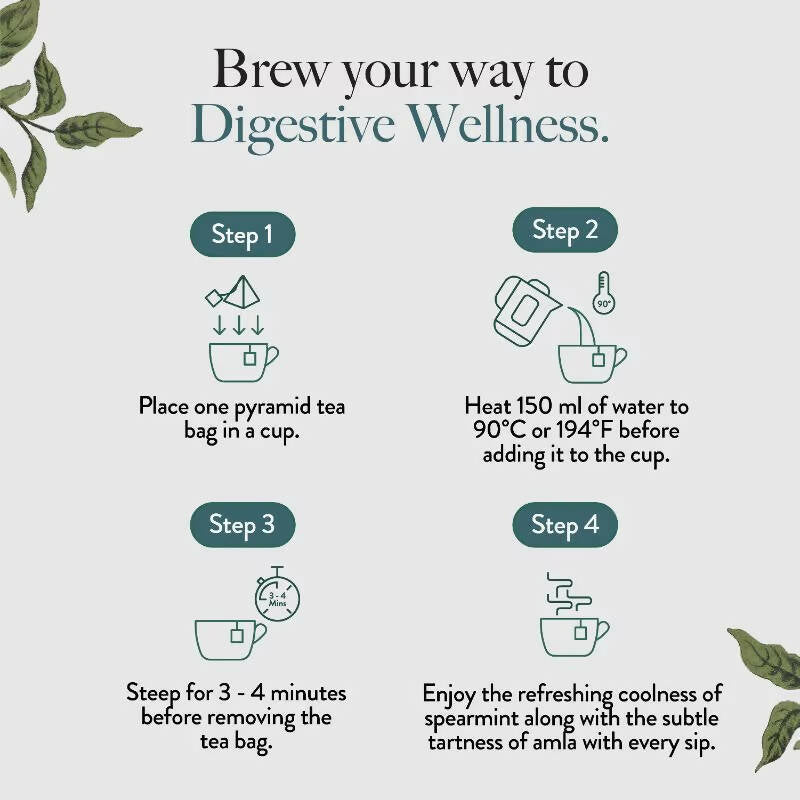 Wellbeing Nutrition Digest Green Tea  Grab2Buy Wellbeing Nutrition Grab2Buy