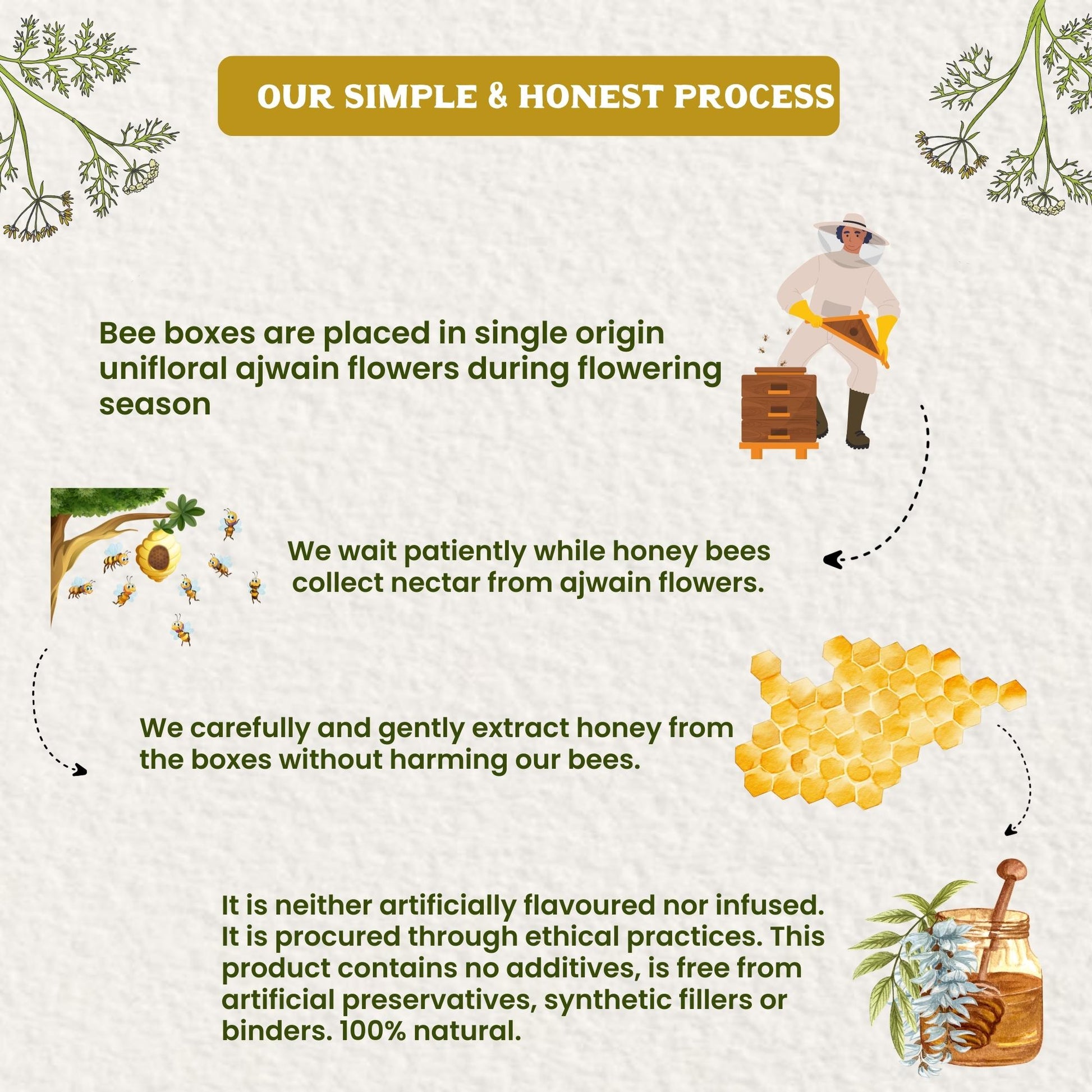 Vediko Origins Raw Ajwain Honey  Grab2Buy Vediko Origins Grab2Buy