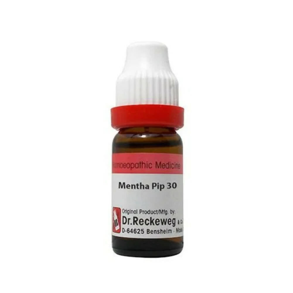 Dr. Reckeweg Mentha Pip Dilution - Grab2buy