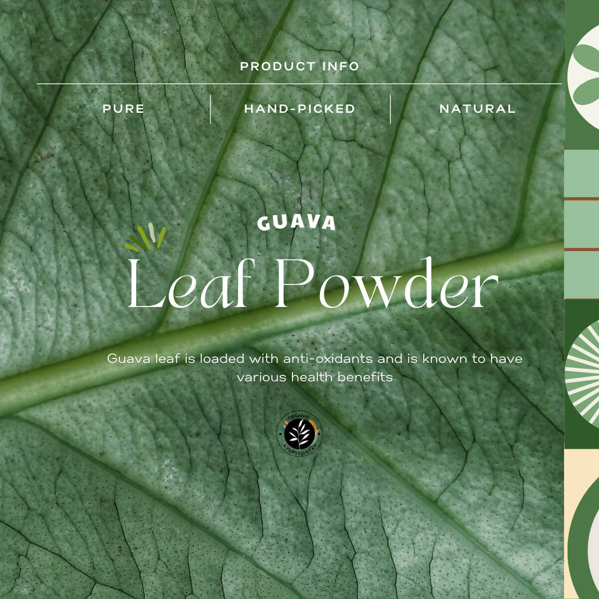 Organic Ayurvedistan Guava Leaves Powder 
