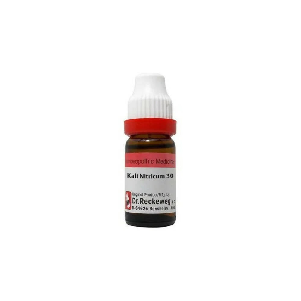 Dr. Reckeweg Kali Nitricum Dilution - Grab2buy