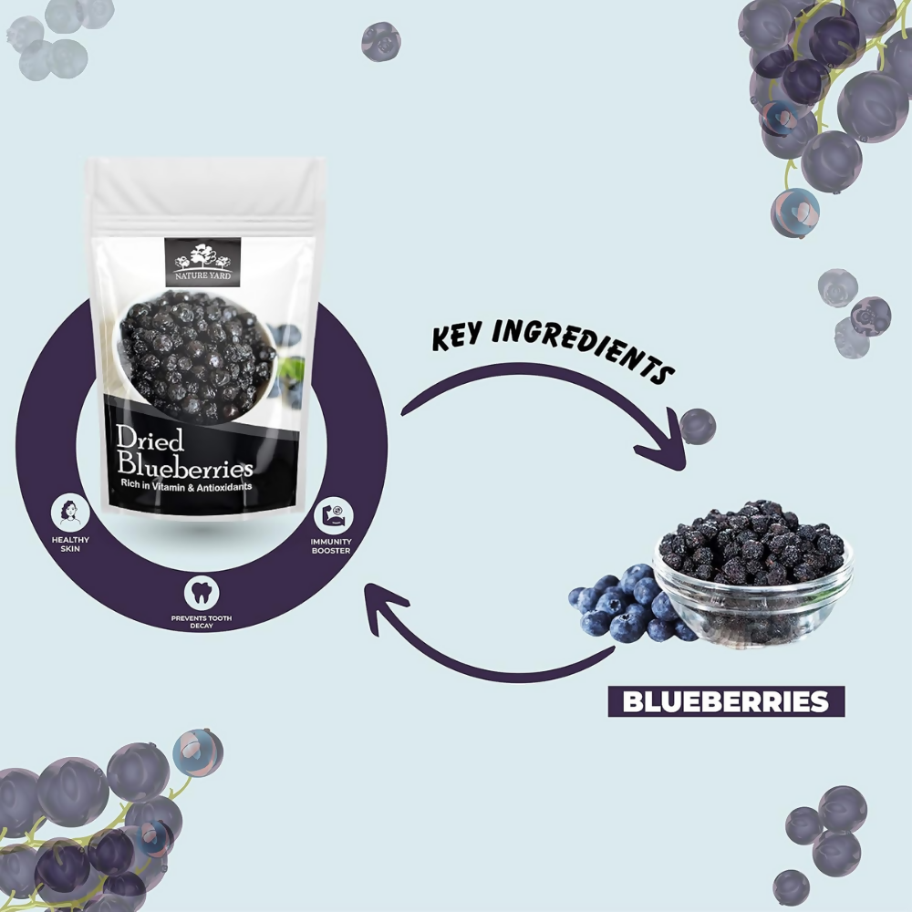 Nature Yard Dried Blueberry, Whole Dried Cranberry, Goji Berry, & Kiwi dry fruit