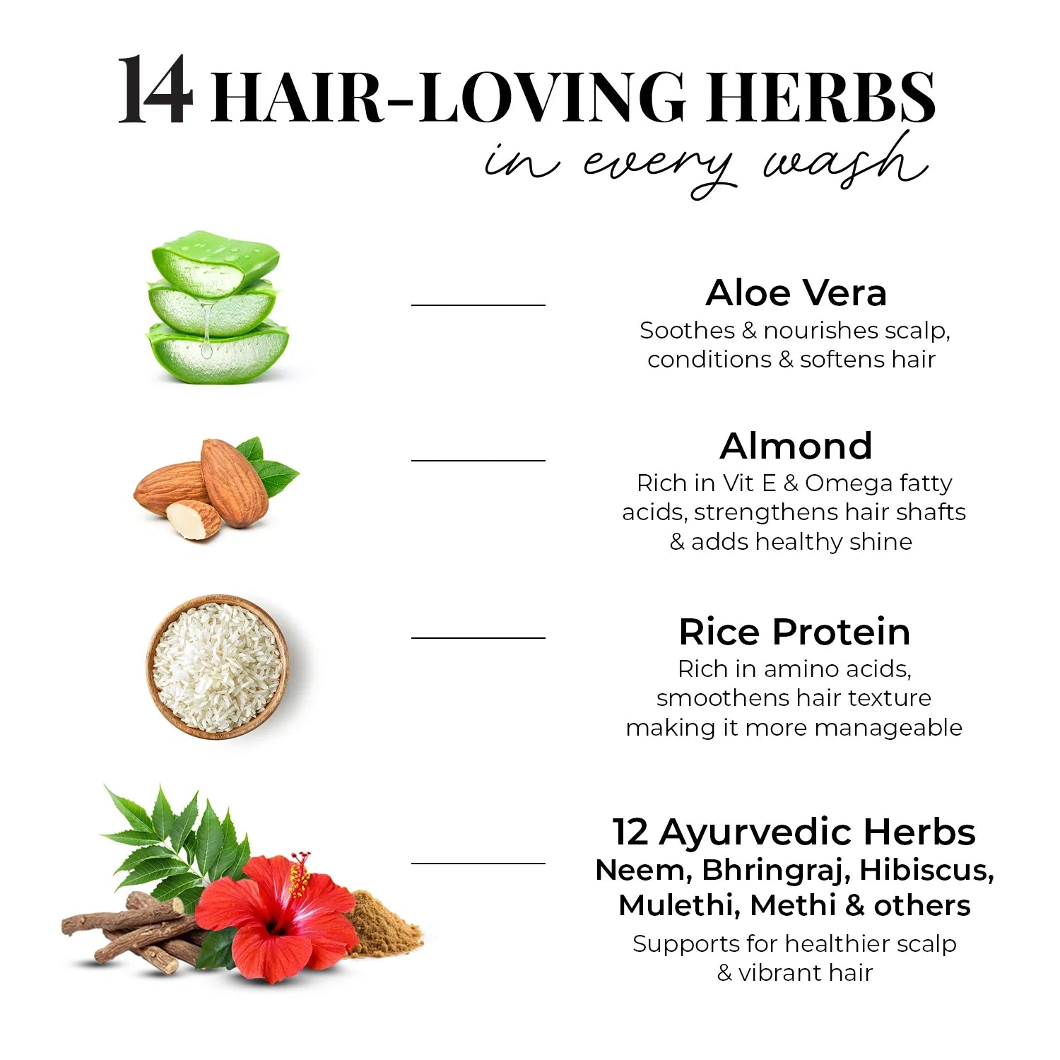 Smooth & Shine Shampoo for Dry and Frizzy Hair| Aloe Vera, Almond, Rice Protein & 12 Herbs 