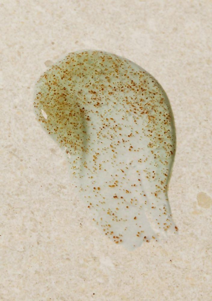 The Body Shop Seaweed Oil-Control Exfoliator  Grab2Buy The Body Shop Grab2Buy