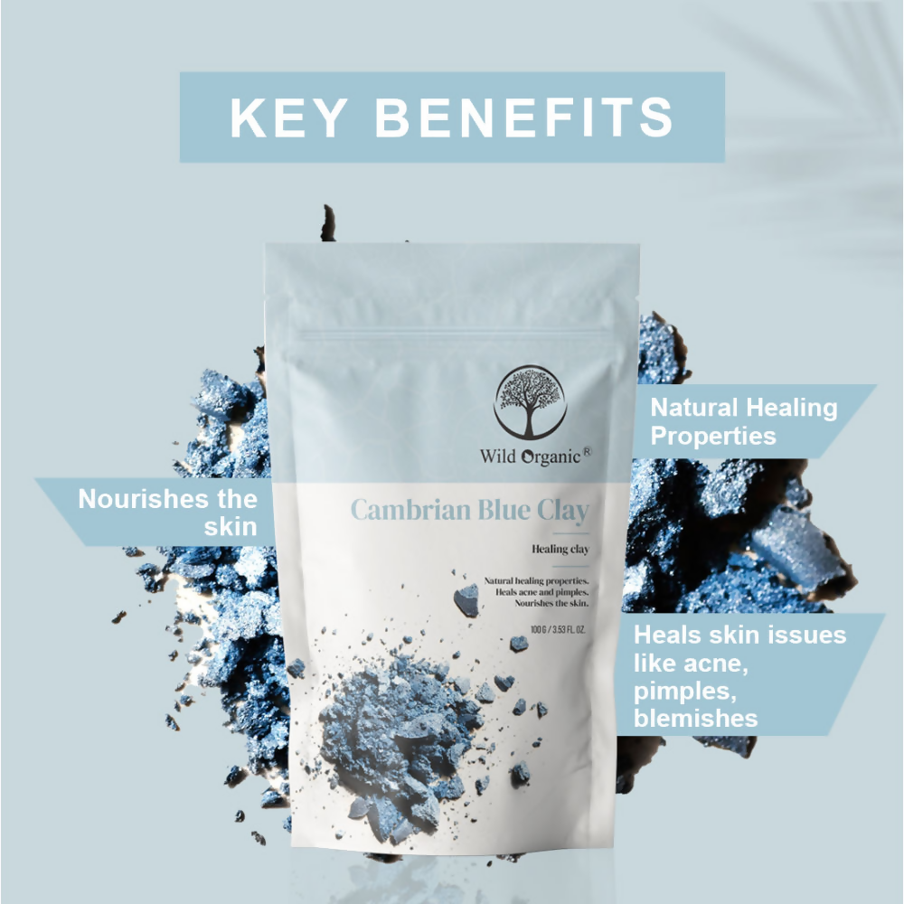 Wild Organic Cambrian Blue Healing Clay Powder  Grab2Buy Wild Organic Grab2Buy