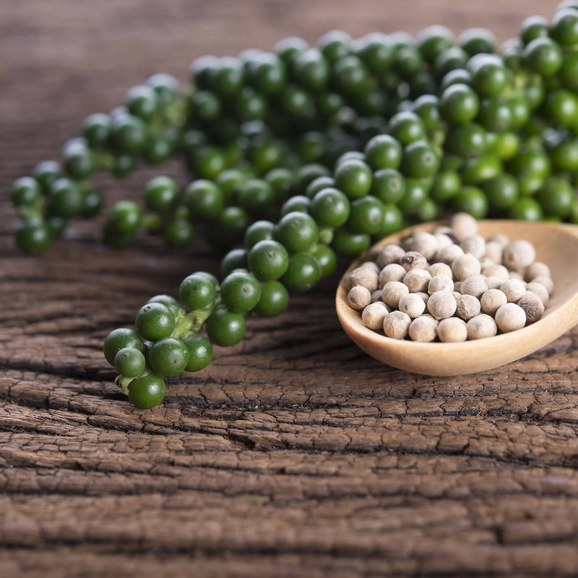 Sattva Sugandha White Pepper - Grab2buy