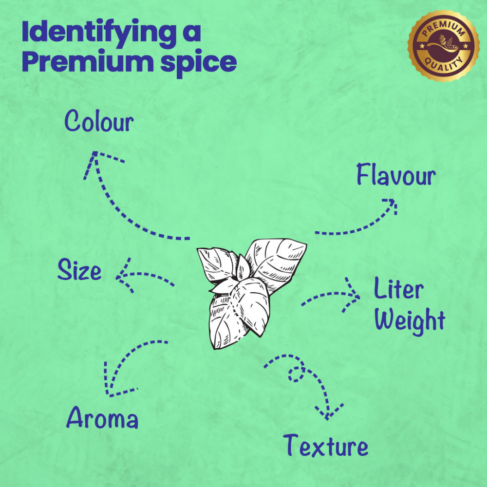Crista Spices Basic Italian Spices