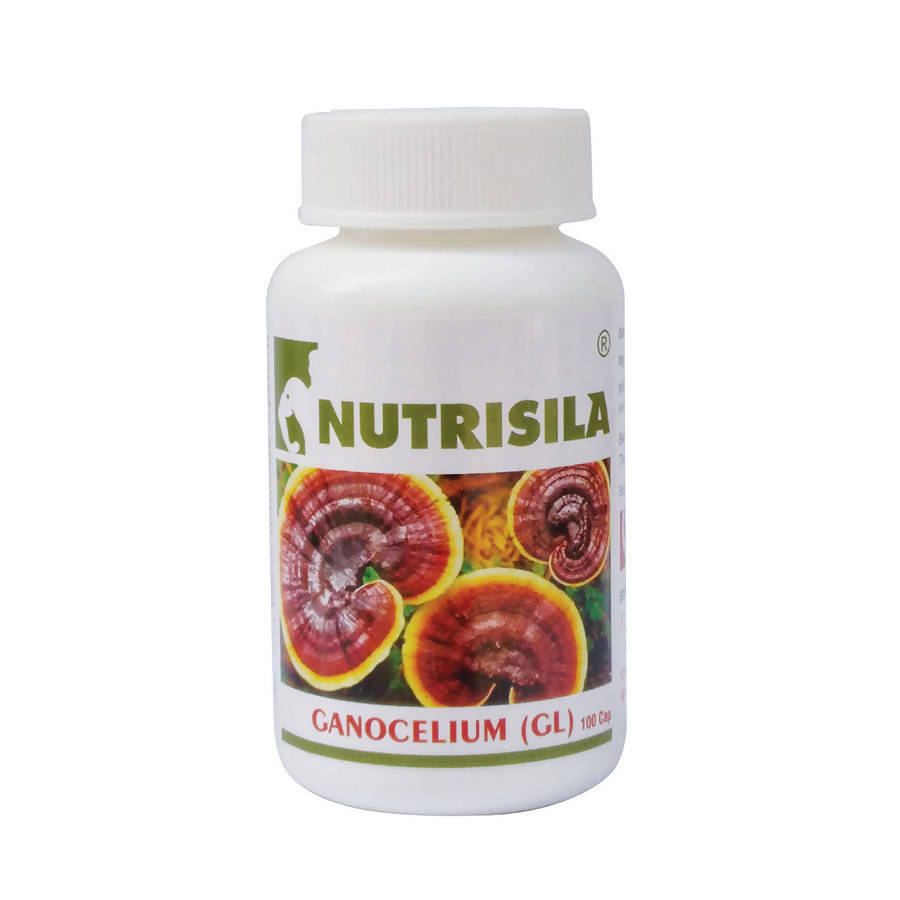 Extasy Nutrisila Gano Celium (GL) Capsules - Grab2buy