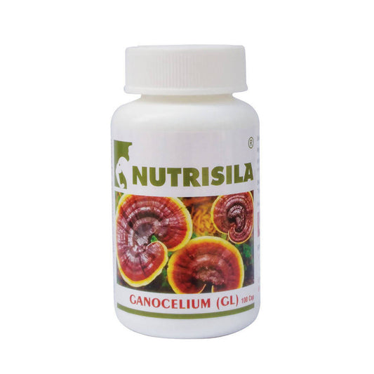 Extasy Nutrisila Gano Celium (GL) Capsules - Grab2buy