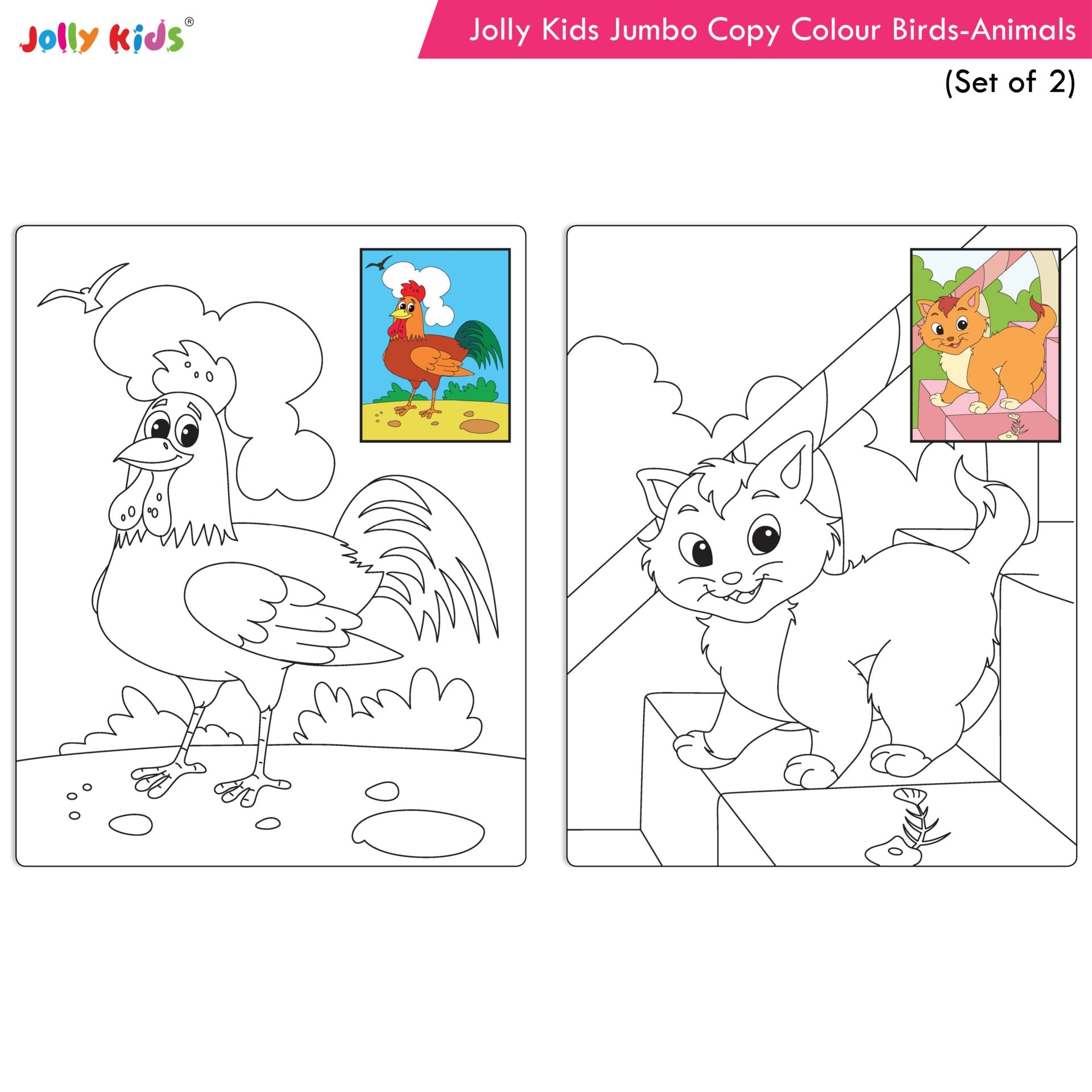 Jolly Kids Jumbo Copy Colour Books Set of 2| Colour Themes Birds, Dinosaurs, Animals, Ocean, Unicorns, Princess, Pirates, Mermaid| Ages 3-10 Years