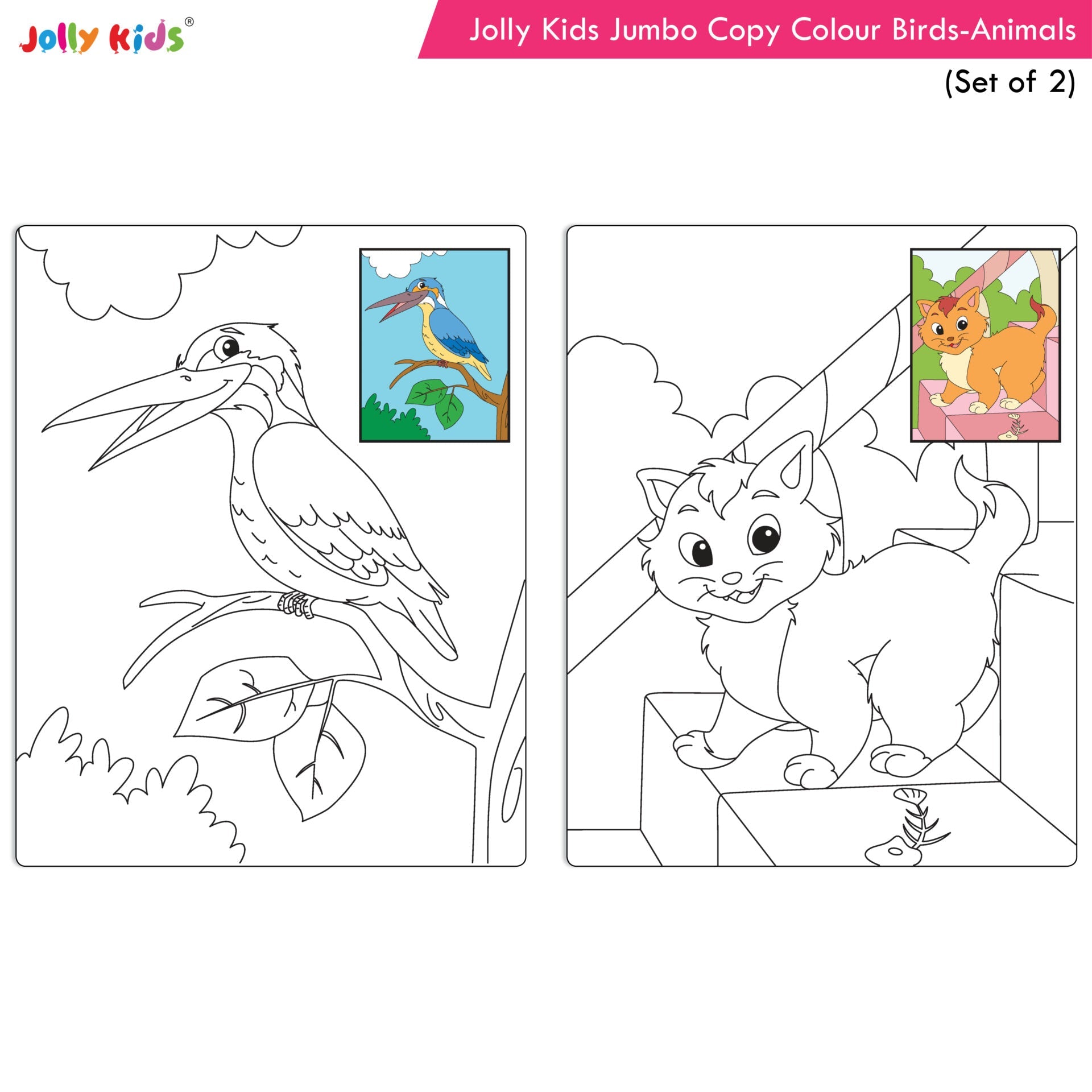 Jolly Kids Jumbo Copy Colour Books Set of 2| Colour Themes Birds, Dinosaurs, Animals, Ocean, Unicorns, Princess, Pirates, Mermaid| Ages 3-10 Years