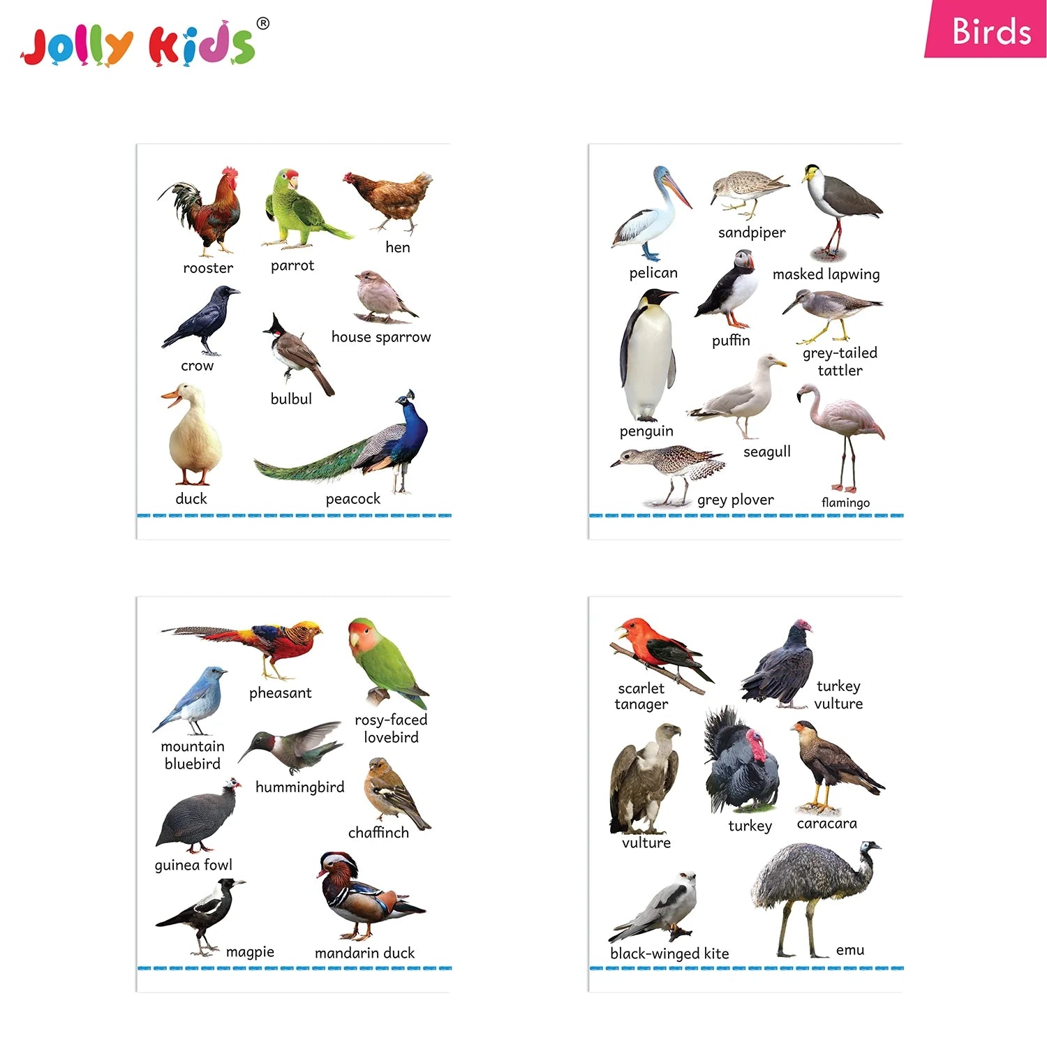 Jolly Kids My Big Board Books Set of 8 for Toddlers Ages 0-3 Years| Picture Learning Books 
