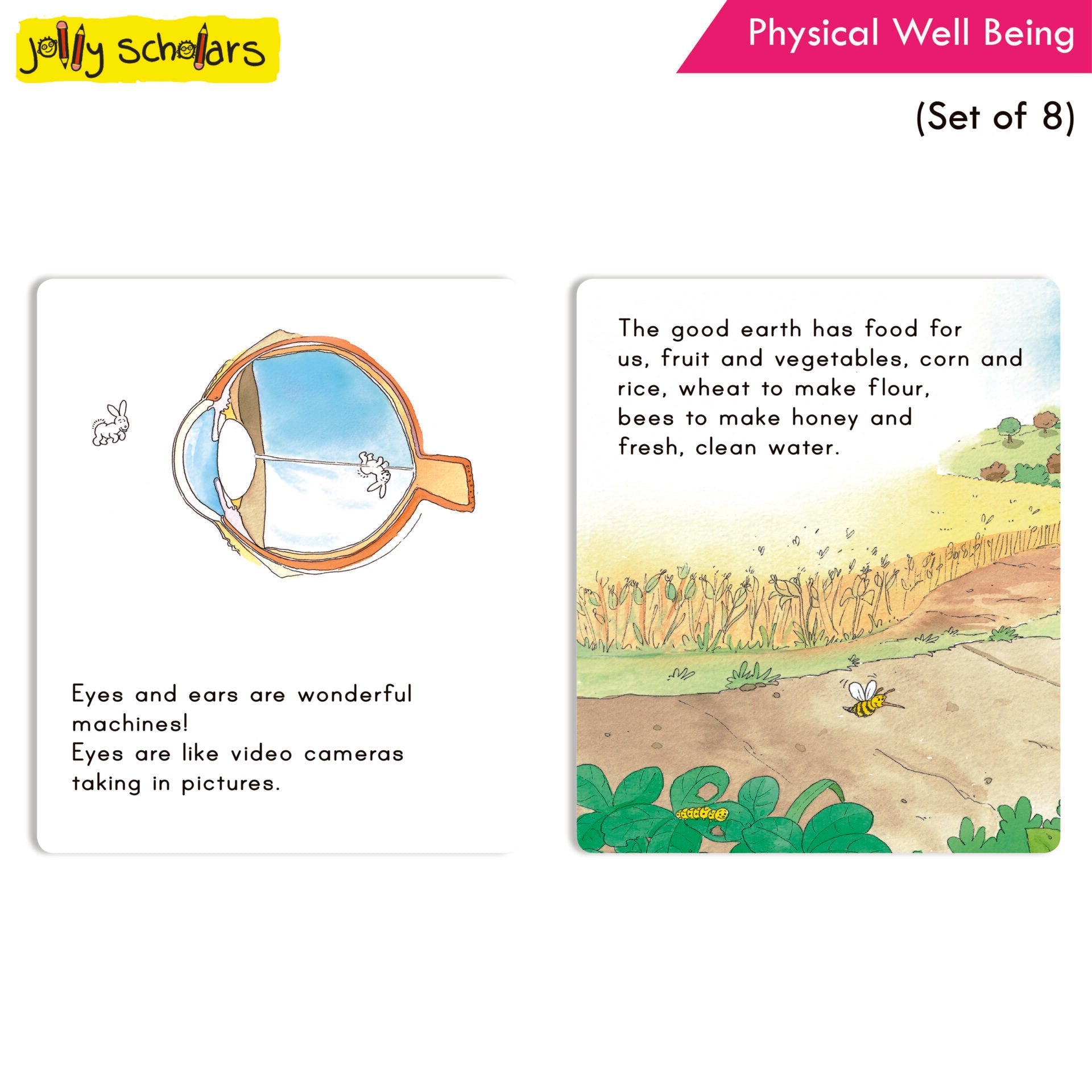 Jolly Scholars Physical Well Being Story Books Set of 8| Promote Physical Health Activity Books Ages 3-6 Years