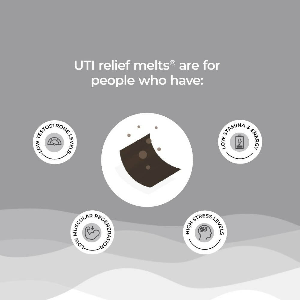 Wellbeing Nutrition Melts Testo Power Oral Strips-Cool Mint Flavor 