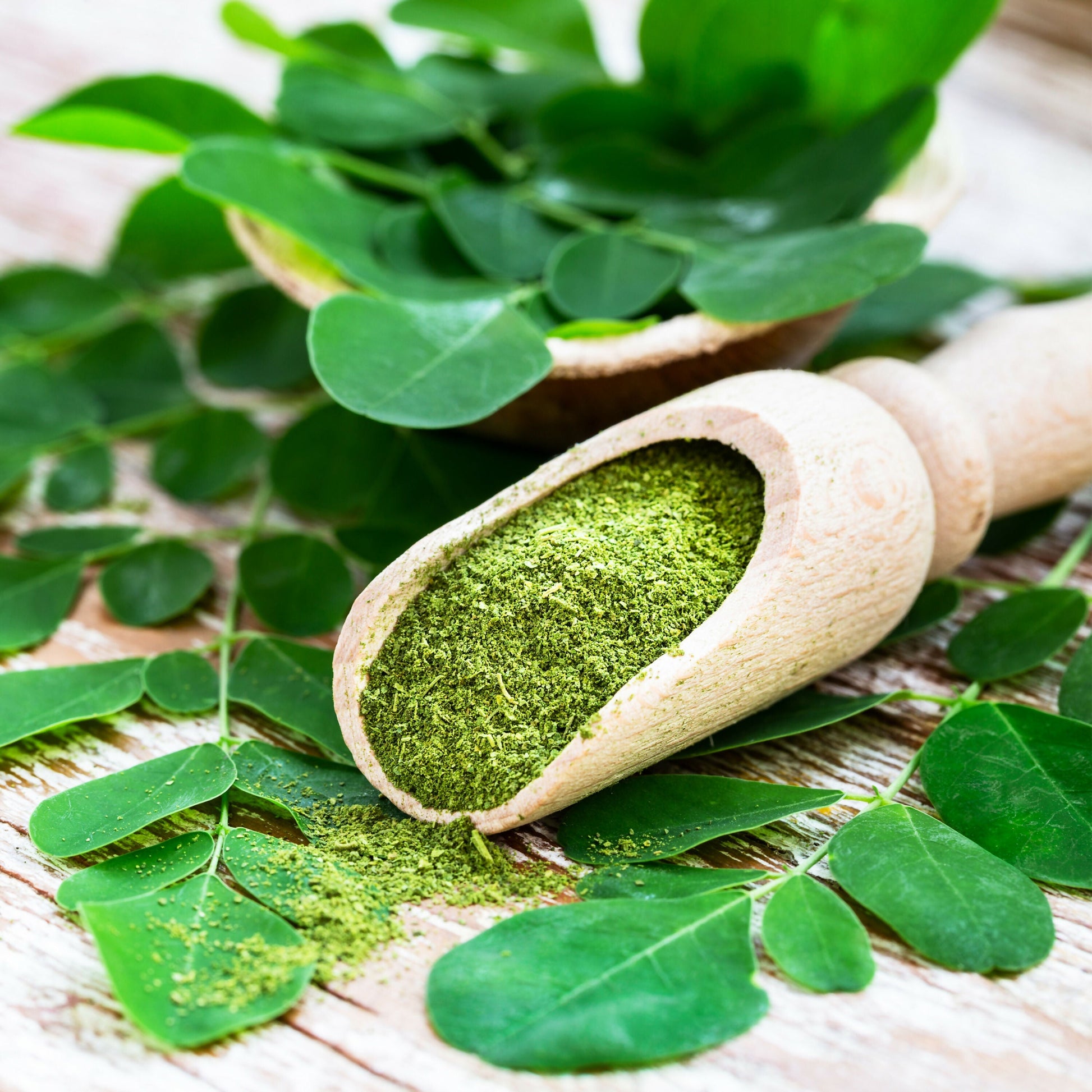 The Ayur House Moringa Powder 