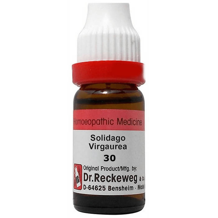 Dr. Reckeweg Solidago Virgaurea Dilution - Grab2buy