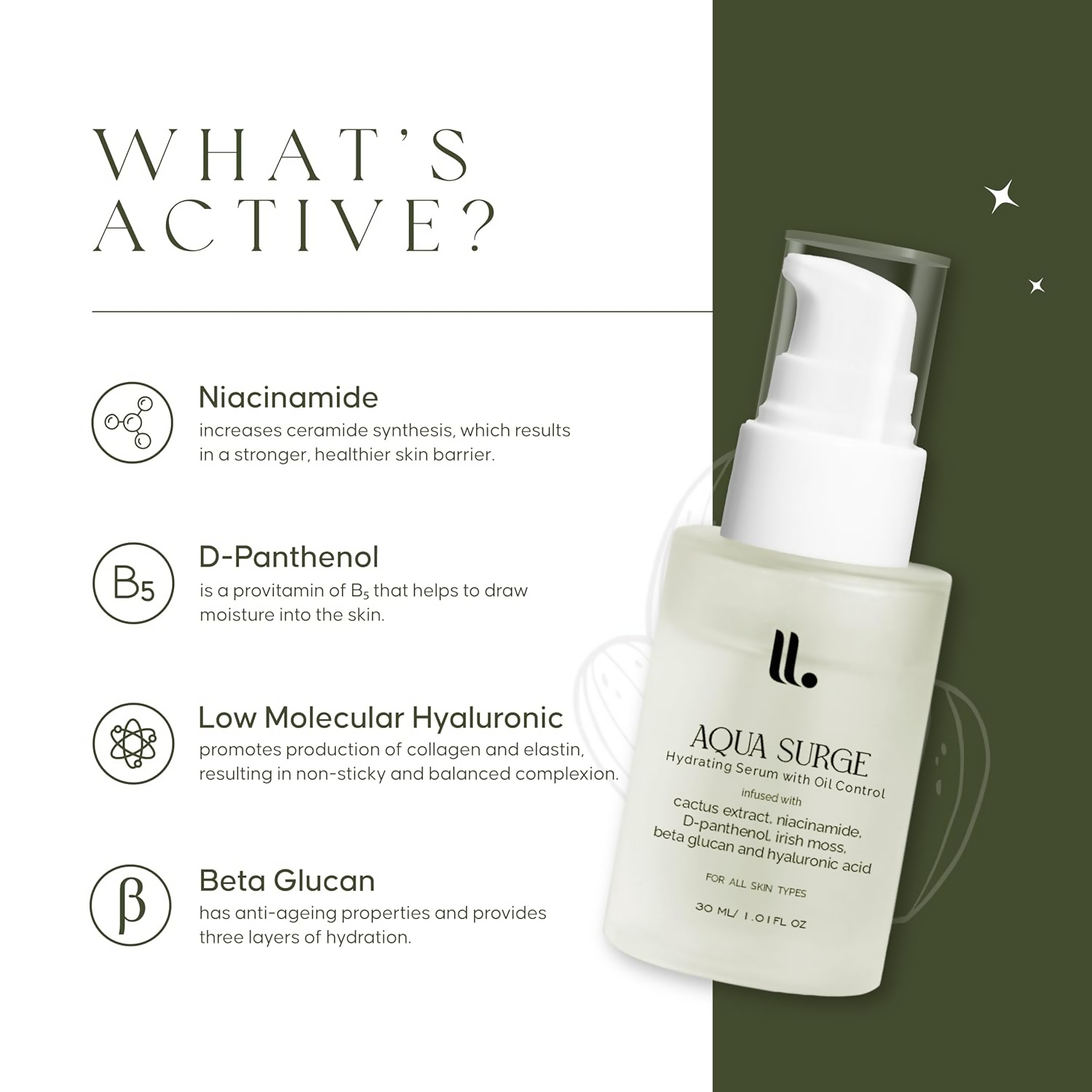 Tone & Tint Aqua Surge Hydrating Serum With Oil Control  Grab2Buy Tone & Tint Grab2Buy