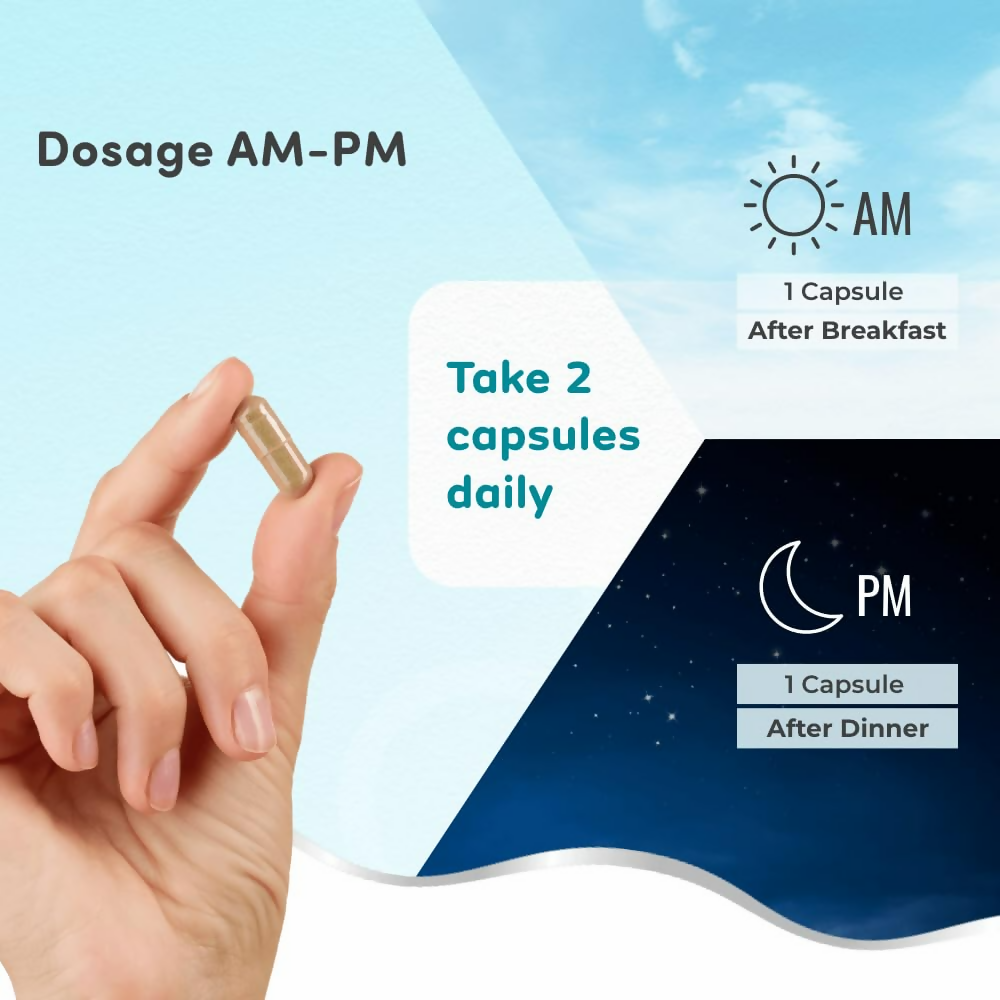 download - 2025-01-25T171921.690